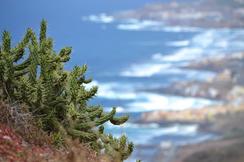 Mirador Del Gallego Santa Maria de Guia de Gran Canaria Pokój zdjęcie